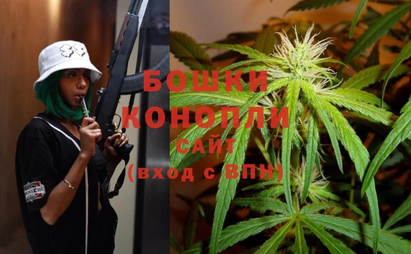 прущие грибы Михайловск